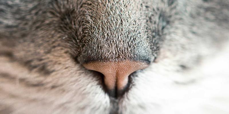 从单机智能到群体协同:5G与边缘计算如何重塑智慧矿山工程机械集群作业