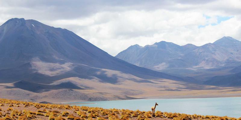 工程机械租赁ABS实操指南：盘活存量设备，加速资金回笼