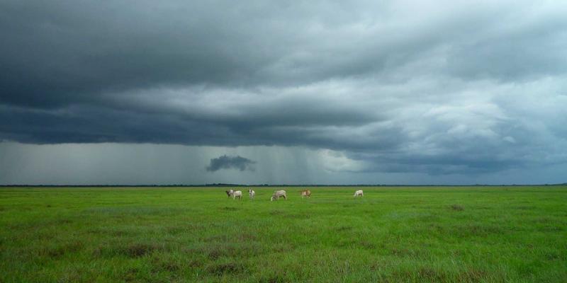 掘金新蓝海:宇鑫重工机械解码东南亚与非洲市场的起重机租赁机遇与本地化破局之道
