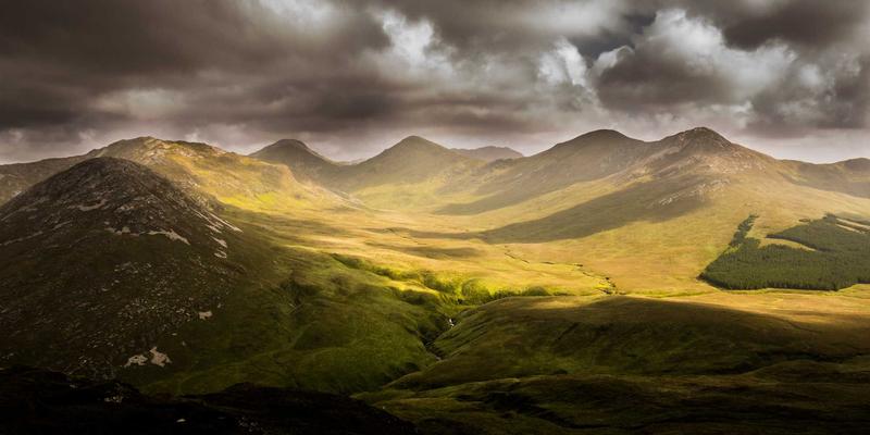 特种工程机械租赁市场探秘：以架桥机、步履式挖掘机为例，解析宇鑫重工机械等企业的制胜之道